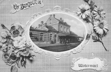 WATERMAEL 1911.jpg